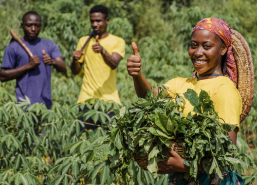 Farm Tour-Kiambethu Farm-Limuru