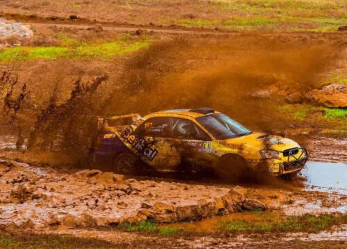 Safari Rally News